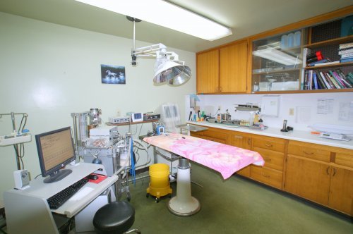 Surgery Room
